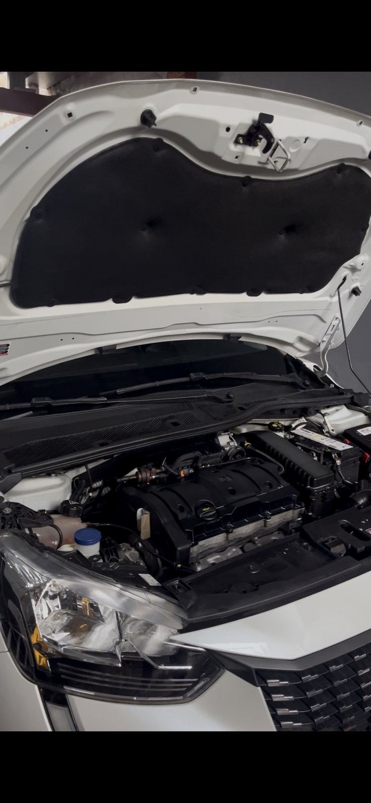 Limpieza del motor